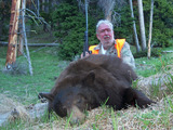 Montana Bear Hunting Outfitters | Black Bear Hunting Montana