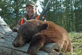 Spring Bear Hunting Montana.