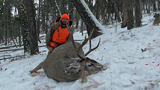 First Mule Deer for Andy