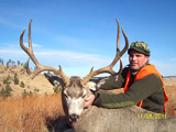 Jason A - Mule deer