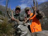 Hunt Mule Deer In Montana.