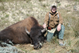Montana Buffalo Hunting Outfitters.