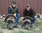 Merriam Turkey Hunting In Montana.
