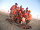 Upland Bird hunts in Montana