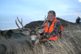 Bow Hunting Deer In Montana, Mule Deer Hunts Montana.