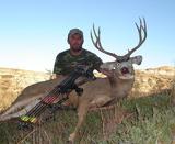 Hunting Deer In Montana.