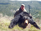 Montana Black Bear Rifle Hunting.