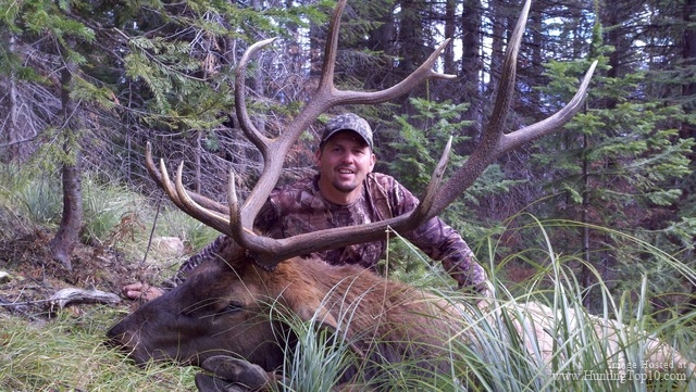 Elk Hunting at