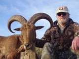 New Mexico Barbary Sheep hunt
