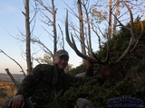 Muzzleloader Elk Hunt 
