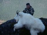 Alaska Mountain Goat hunting 2011 Blair Kenewll
