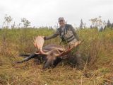 Moose hunting Alaska Mike Sokol 2011