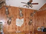 Ohio Deer Hunting Lodge and Hunting Outfitters.