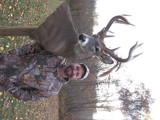 Deer Hunting Ohio