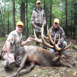 Tioga Boar Hunting Preserve, Elk Hunting in Pennsylvania