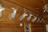 Texas Hunting Lodge Quality Accomodations.