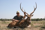 Texas Exotic Axis Deer Hunting.
