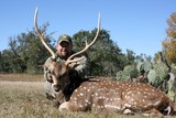 Texas Axis Deer Hunting.