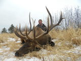 Eddie Showalters Massive 433" Bull Elk