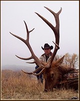 Elk Hunting Wyoming, Guided Elk Hunt Wyoming Outfitter