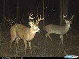 Deer hunting property