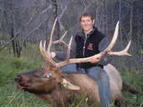 an elk for Jack
