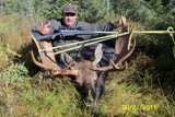Moose Hunting Quebec