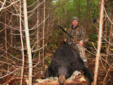 Quebec Black Bear Hunting.