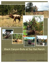 Elk Hunting Colorado 2015