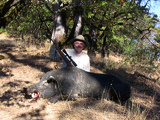 California boar hunting