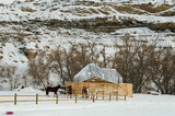 Winter In Colorado Elk Hunting