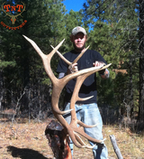 Elk hunting, Colorado