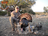 Turkey  Hunting