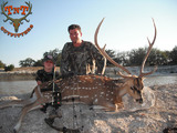 Axis Deer hunting in Texas