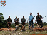 Exotic Deer Hunting In Texas.