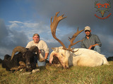 Fallow Deer Hunting Texas.