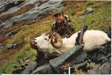 Sheep hunting in Alaska