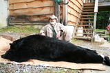 2011 Bear