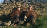 Kentucky Turkey Hunting Outfitters.