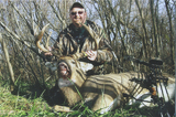 Trophy whitetail hunts
