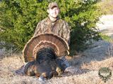 Eastern Turkey Hunting in New Mexico