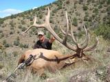 Elk hunting in New Mexico