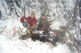 Alberta moose hunting canada moose hunts.