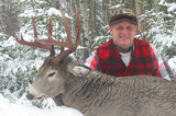 Whitetail deer hunting in Alberta.