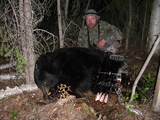 Alberta Archery Black Bear