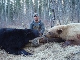 Alberta Black Bear Bowhunting