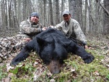 Black Bear Hunting Alberta.