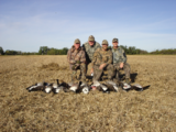 Duck Hunting Saskatchewan