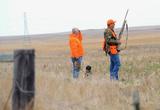 Pheasant Hunting in South Dakota.