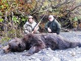 Nice Brown Bear, Alaska